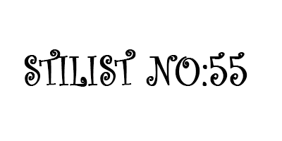 Stilist No:55 Logo